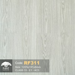 San Go Cong Nghiep Rainforset R2