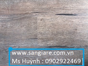 San Nhua Hem Khoa Apollo Gia Re 2